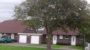 Haus Tötel im Nordseeheilbad Friedrichskoog-Spitze