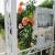 Galeriebild 1