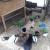Galeriebild 1