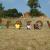 Galeriebild 4