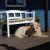 Galeriebild 4