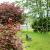 Galeriebild 4