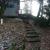 Galeriebild 1