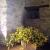 Galeriebild 1